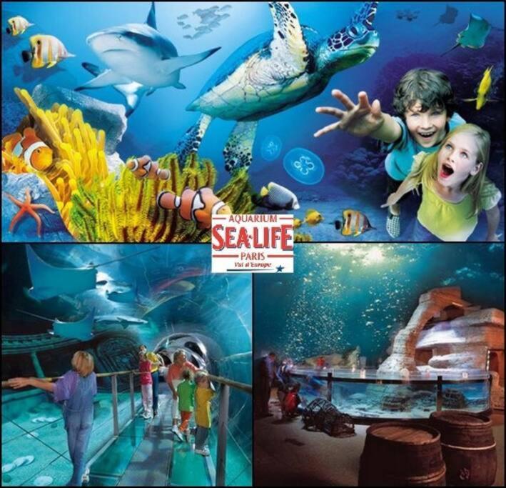Le Splend'Id Disneyland شيسي المظهر الخارجي الصورة